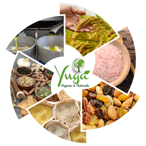 yuga_about yuga_about